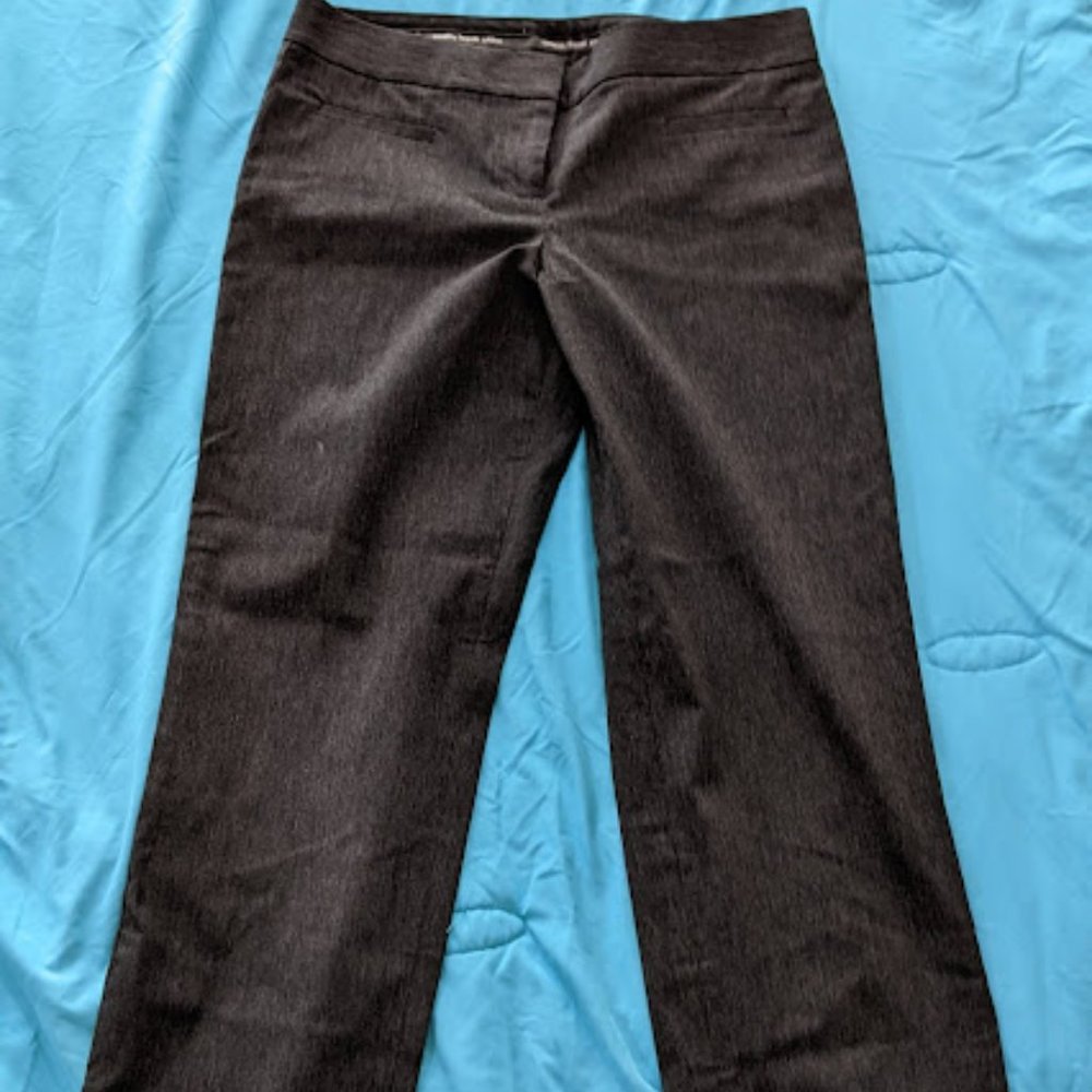 Express Design Studio Slacks